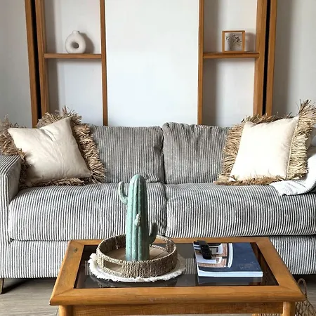 Large Cozy In Cannes לה קאנה
